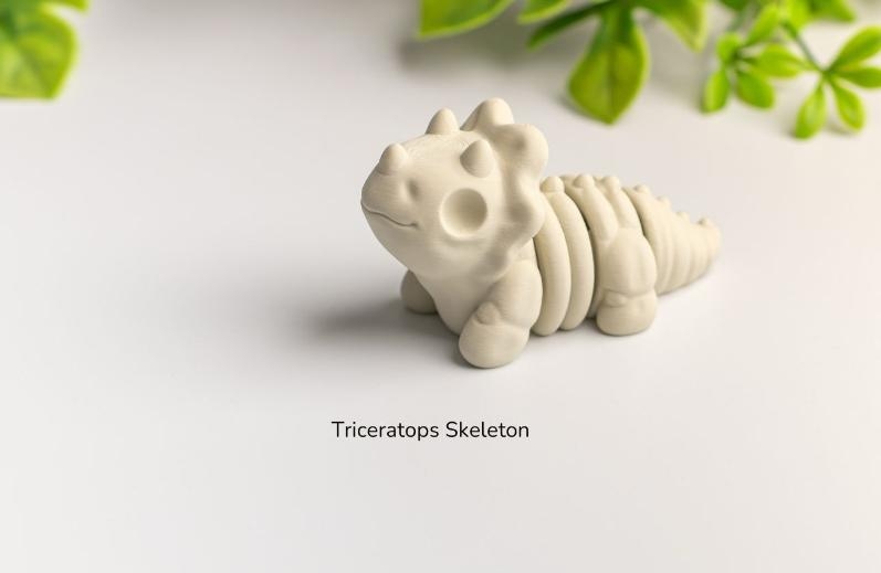 Triceratops Skeleton